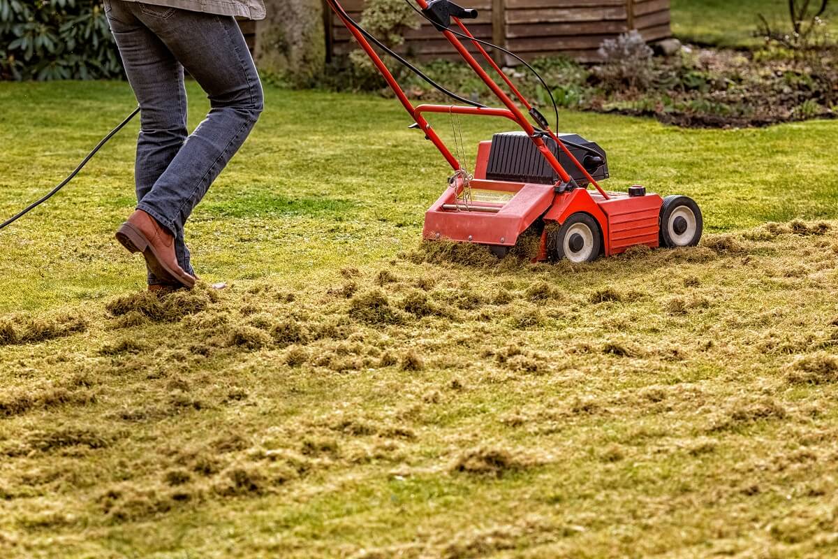 Power Raking